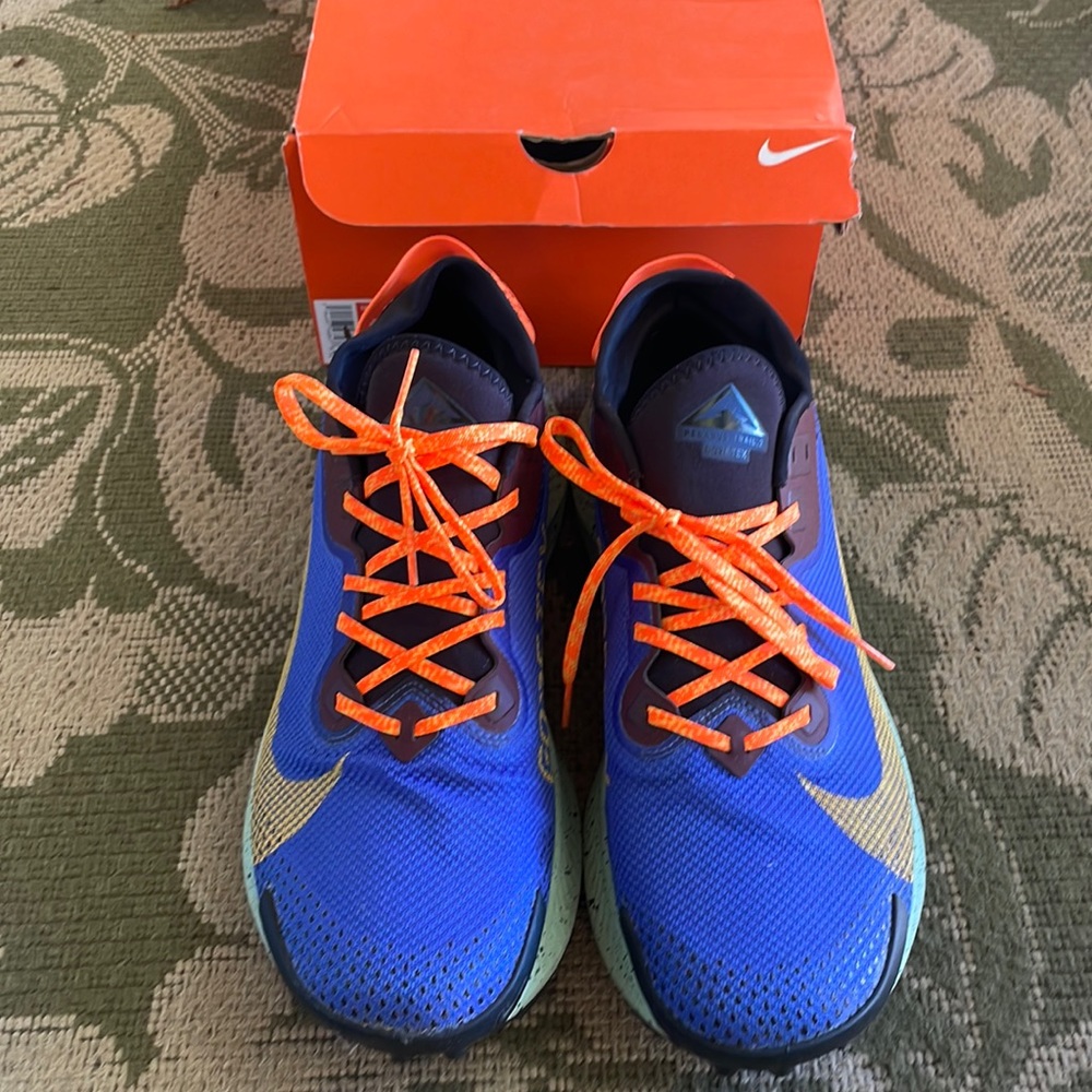 Nike Pegasus Trail 2 GTX (Gore-tex)